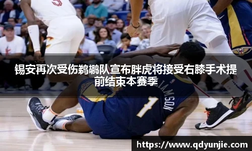 3377体育官网入口